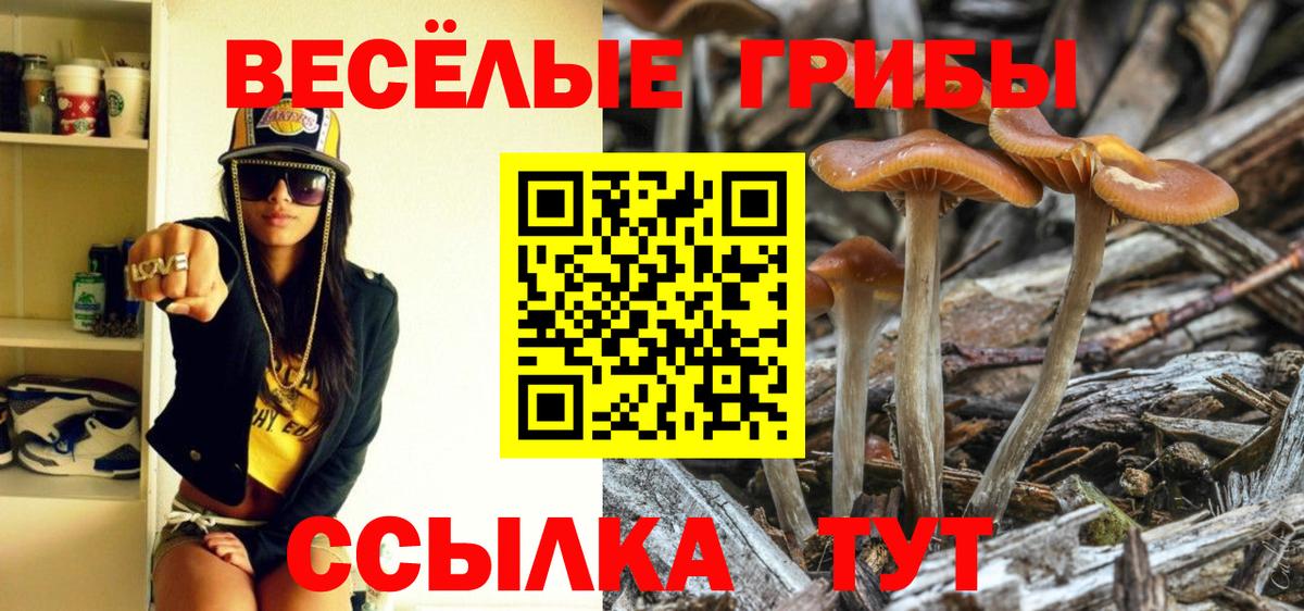 Псилоцибиновые грибы прущие грибы  Псилоцибиновые грибы MAGIC MUSHROOMS  Вход с VPN  Анжеро-Судженск 